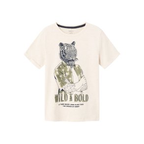 Name It T-shirt SS Hasimon Peyote Melange