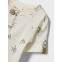 Lil' Atelier Body SS Gio Slim Coconut Milk