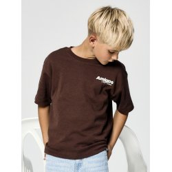 Name It T-shirt Kids SS Holle Chestnut