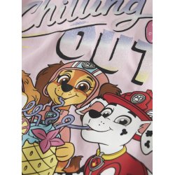 Name It T-shirt Mini LS Maria Paw Patrol Pirouette