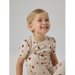 Name It T-shirt Mini SS Haline Peyote Melange