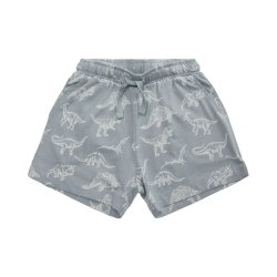 Petit by Sofie Schnoor Shorts Dusty Blue