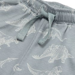 Petit by Sofie Schnoor Shorts Dusty Blue