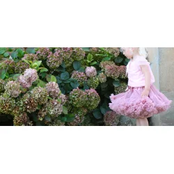 Dolly Nederdel Cat Princess Pettiskirt Dusty Pink