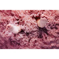 Dolly Nederdel Cat Princess Pettiskirt Dusty Pink